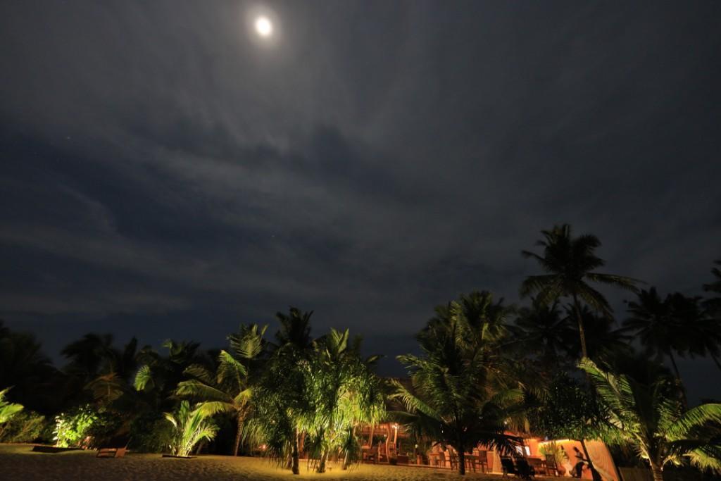 Mangrove Beach Cabana Tangalle Exterior photo